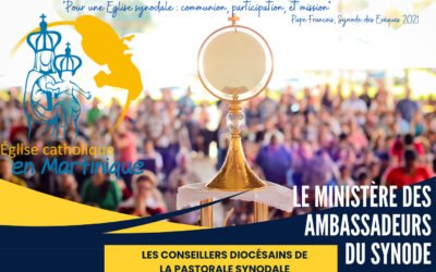 Nos ambassadeurs du synode au Conseil Diocésain de Pastorale